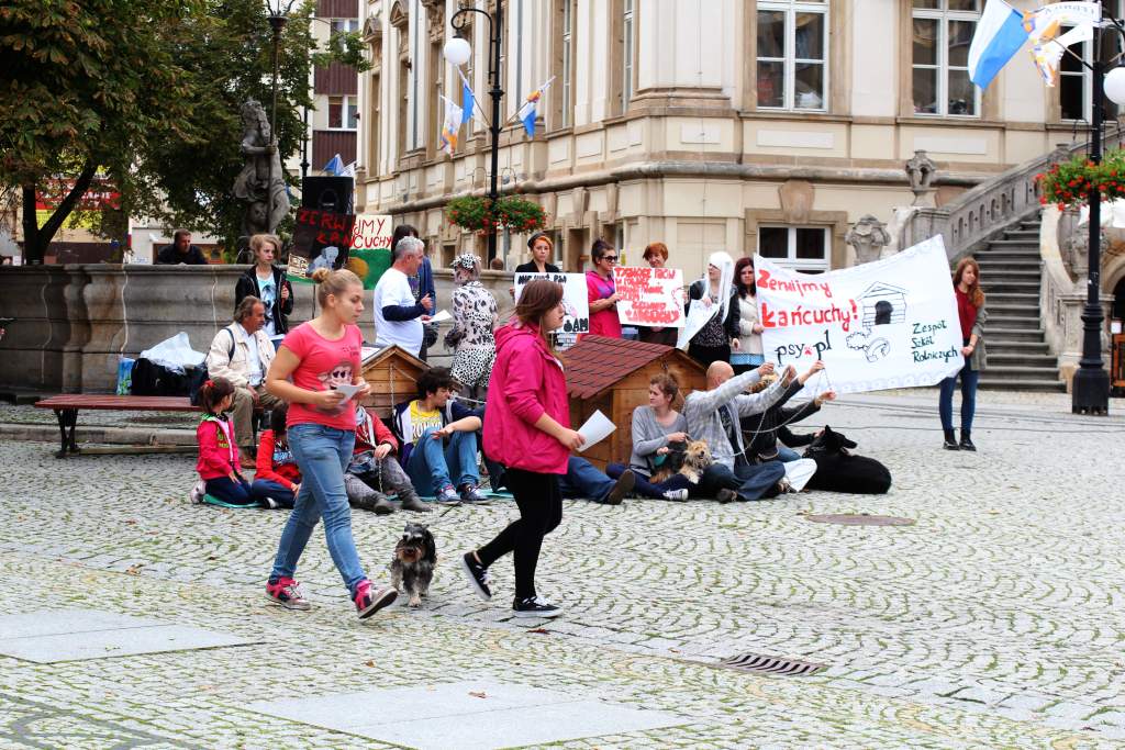 Zerwijmy psom łańcuchy