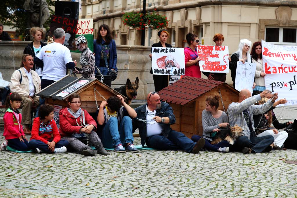 Zerwijmy psom łańcuchy