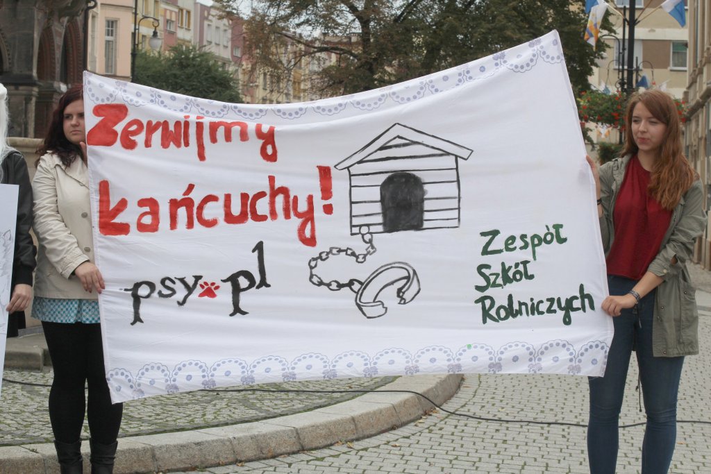 Zerwijmy psom łańcuchy