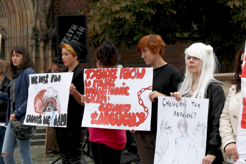 Zerwijmy psom łańcuchy