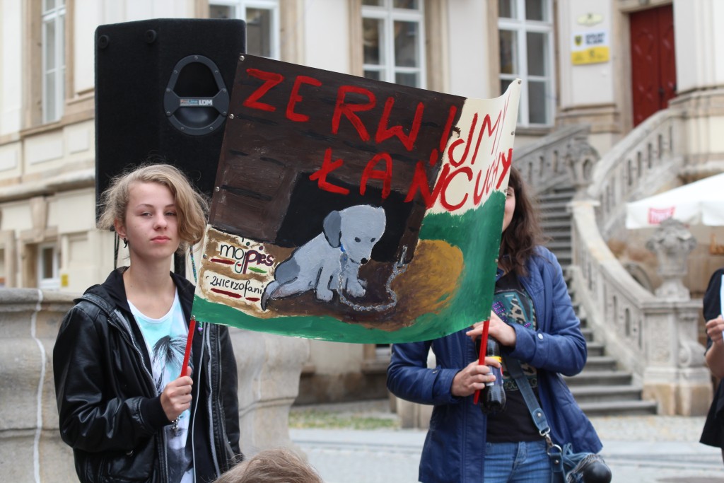 Zerwijmy psom łańcuchy