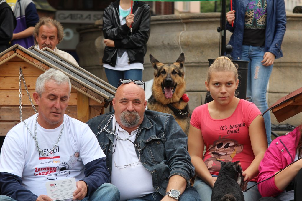 Zerwijmy psom łańcuchy