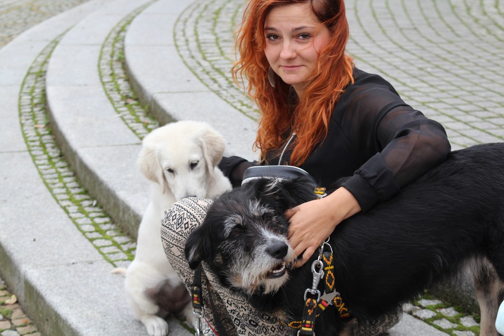 Zerwijmy psom łańcuchy