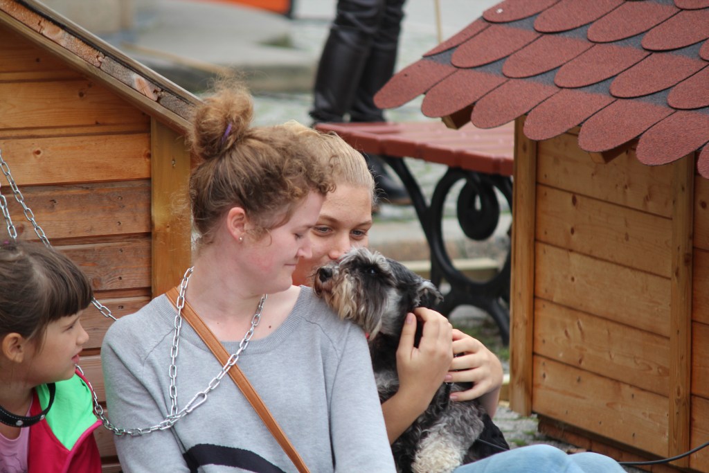 Zerwijmy psom łańcuchy