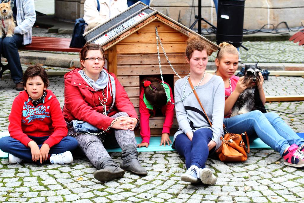 Zerwijmy psom łańcuchy