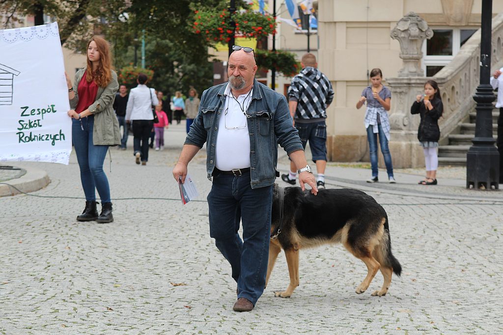 Zerwijmy psom łańcuchy