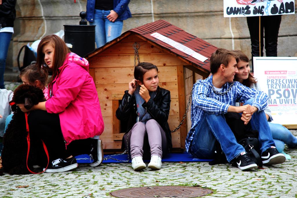 Zerwijmy psom łańcuchy