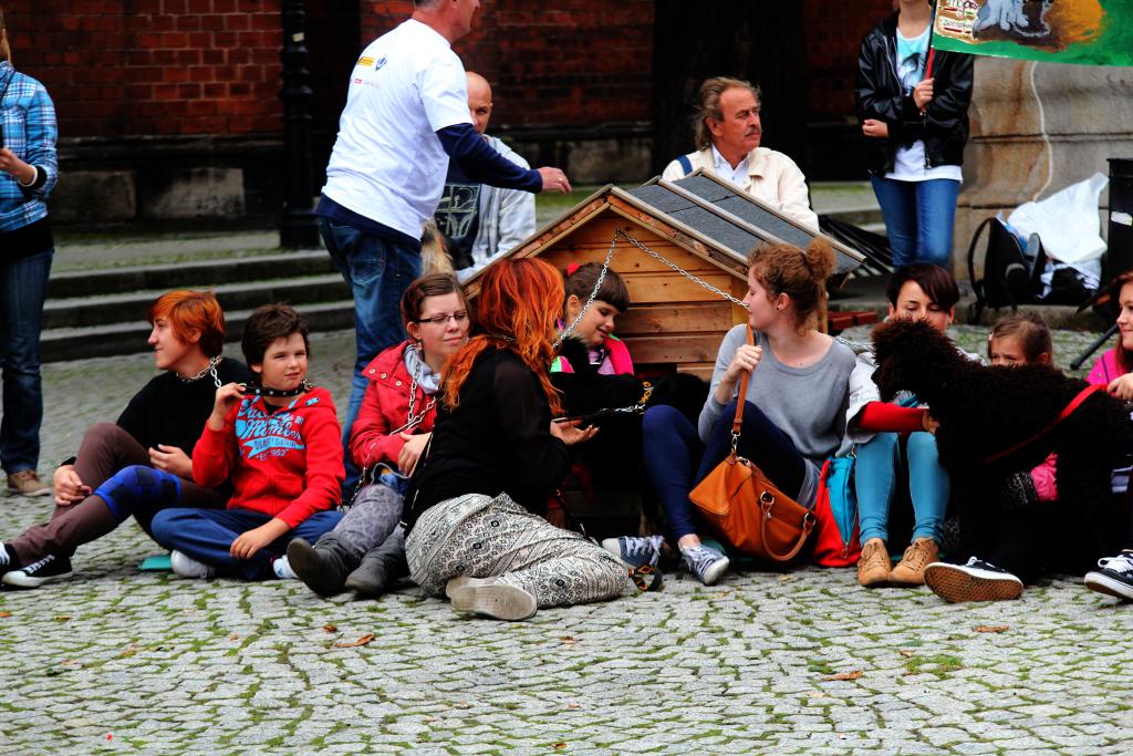 Zerwijmy psom łańcuchy