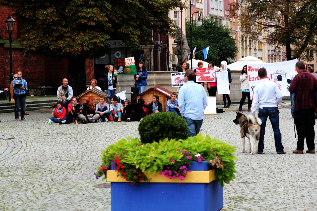 Zerwijmy psom łańcuchy