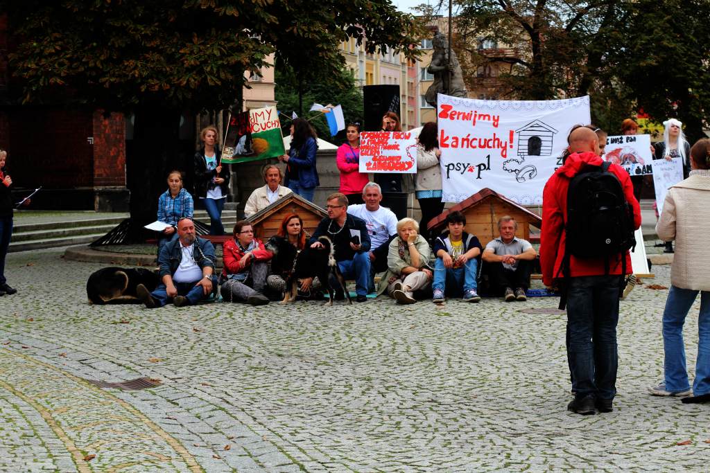 Zerwijmy psom łańcuchy