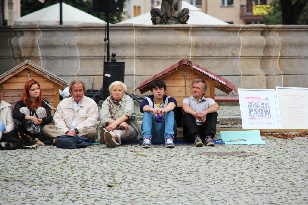 Zerwijmy psom łańcuchy