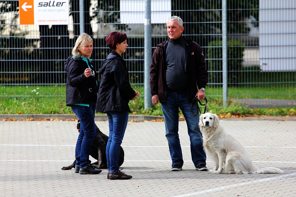 Legnicka Paraolimpiada już po raz jedenasty cz1