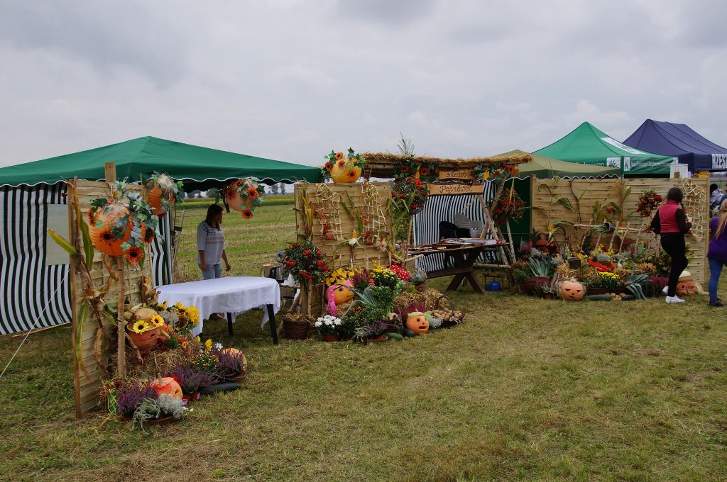 Kartoflisko w Gniewomirowicach