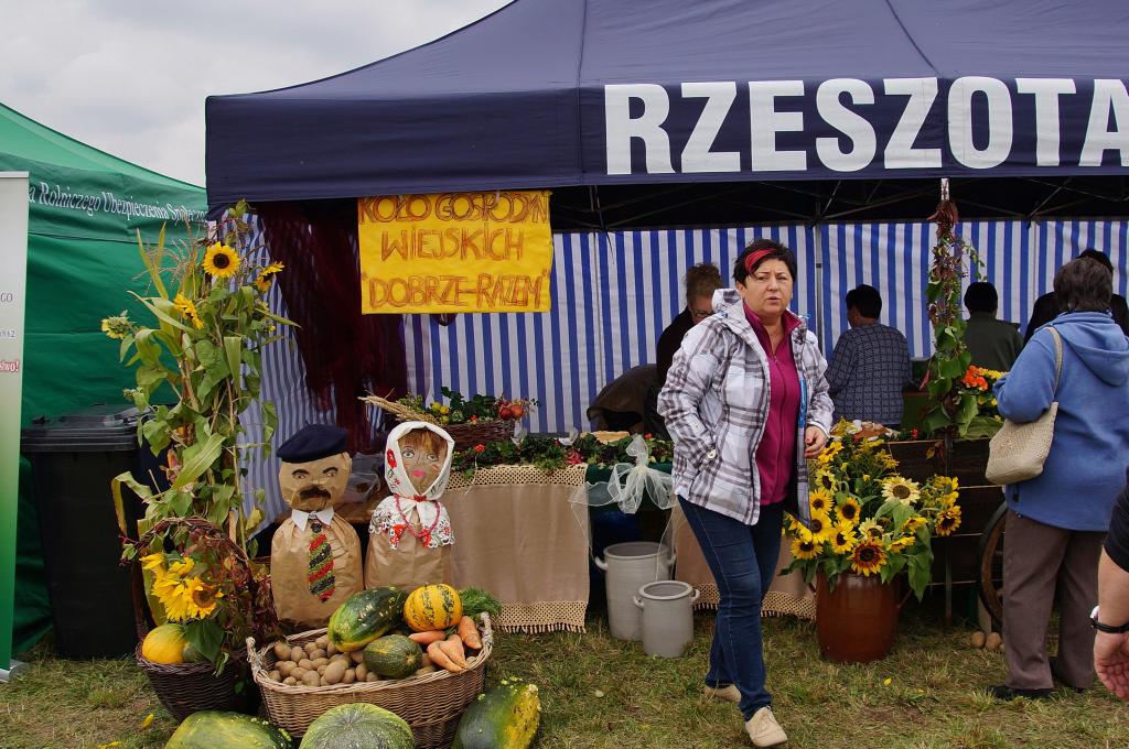 Kartoflisko w Gniewomirowicach