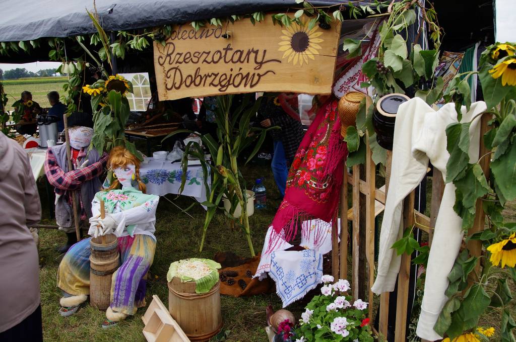 Kartoflisko w Gniewomirowicach