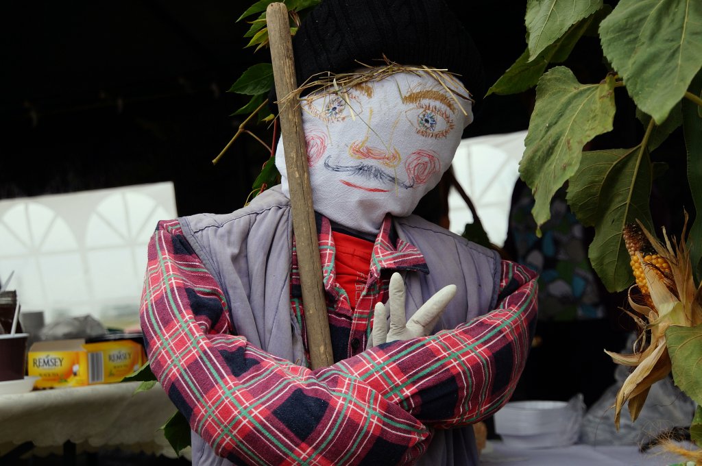 Kartoflisko w Gniewomirowicach
