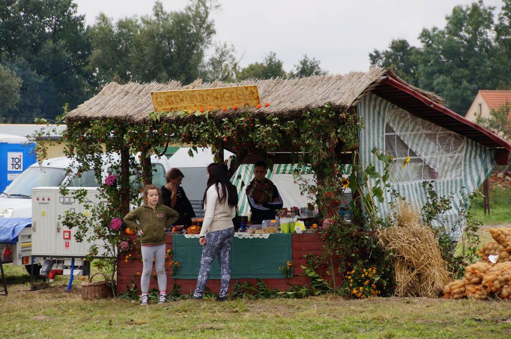 Kartoflisko w Gniewomirowicach