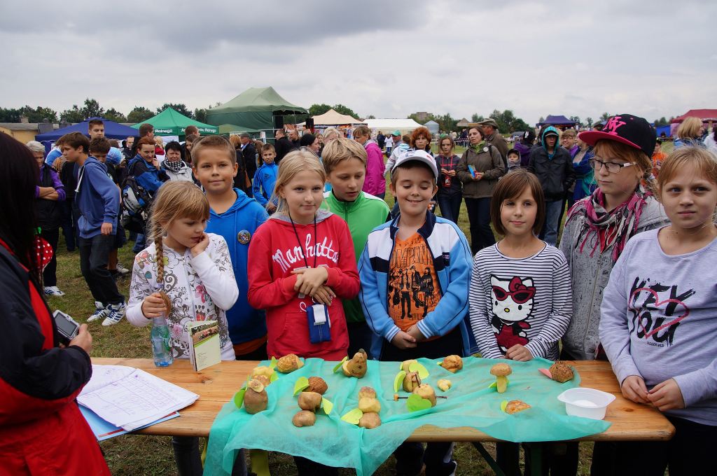 Kartoflisko w Gniewomirowicach