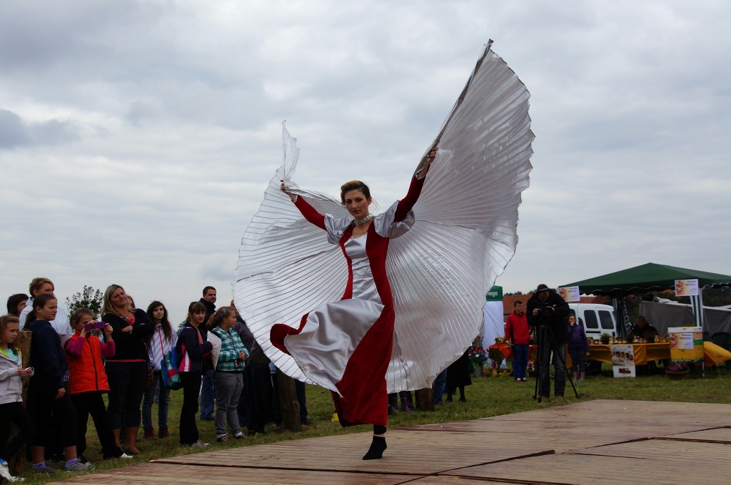 Kartoflisko w Gniewomirowicach