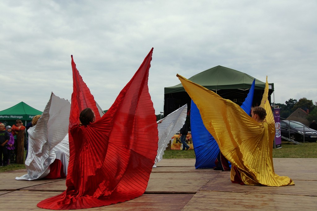 Kartoflisko w Gniewomirowicach