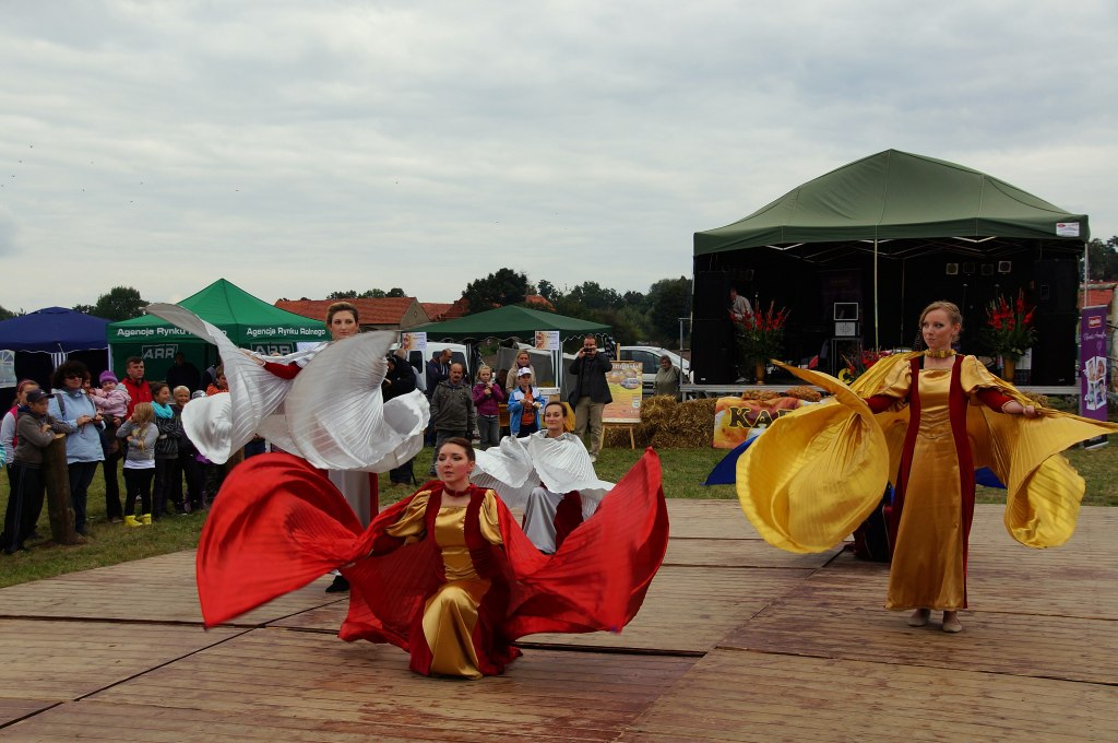 Kartoflisko w Gniewomirowicach