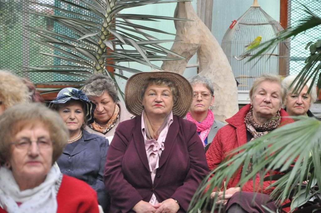 Seniorzy w świecie muzyki, poezji i kwiatów