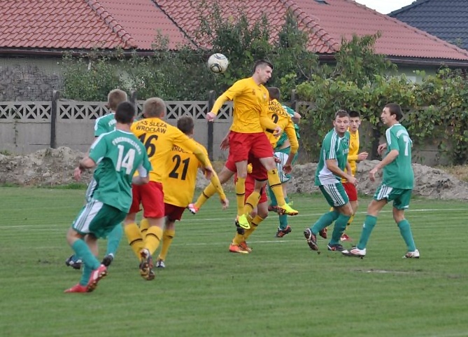 III liga: Prochowiczanka - Ślęza 1:3