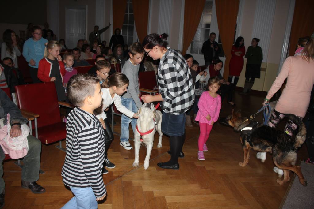„Psiaki, kociaki i inne zwierzaki” cz1