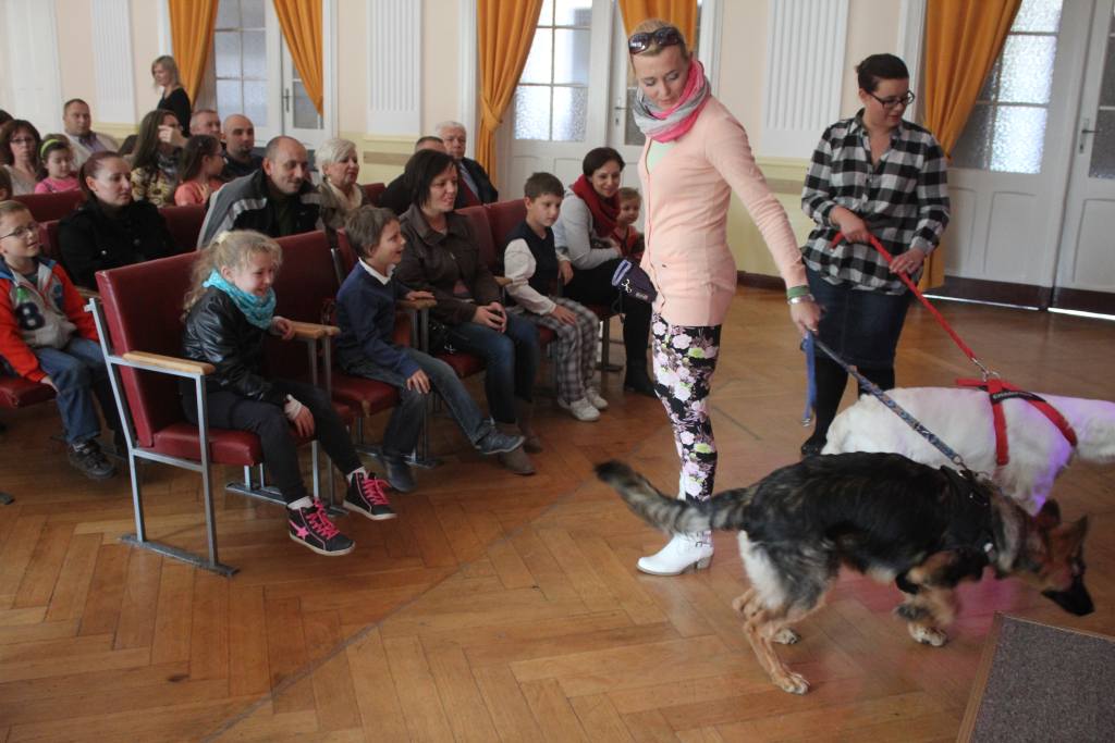 „Psiaki, kociaki i inne zwierzaki” cz1