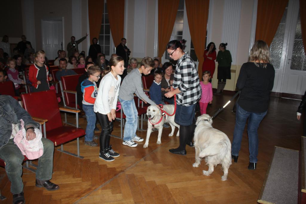 „Psiaki, kociaki i inne zwierzaki” cz1