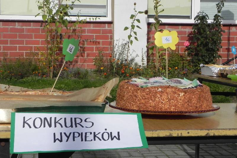 Postaw na Rodzinę w ZSI