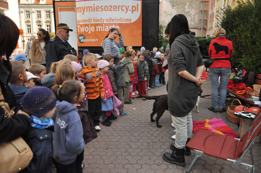 „Odpowiedzialny Opiekun” - akcja poświęcona zwierzętom