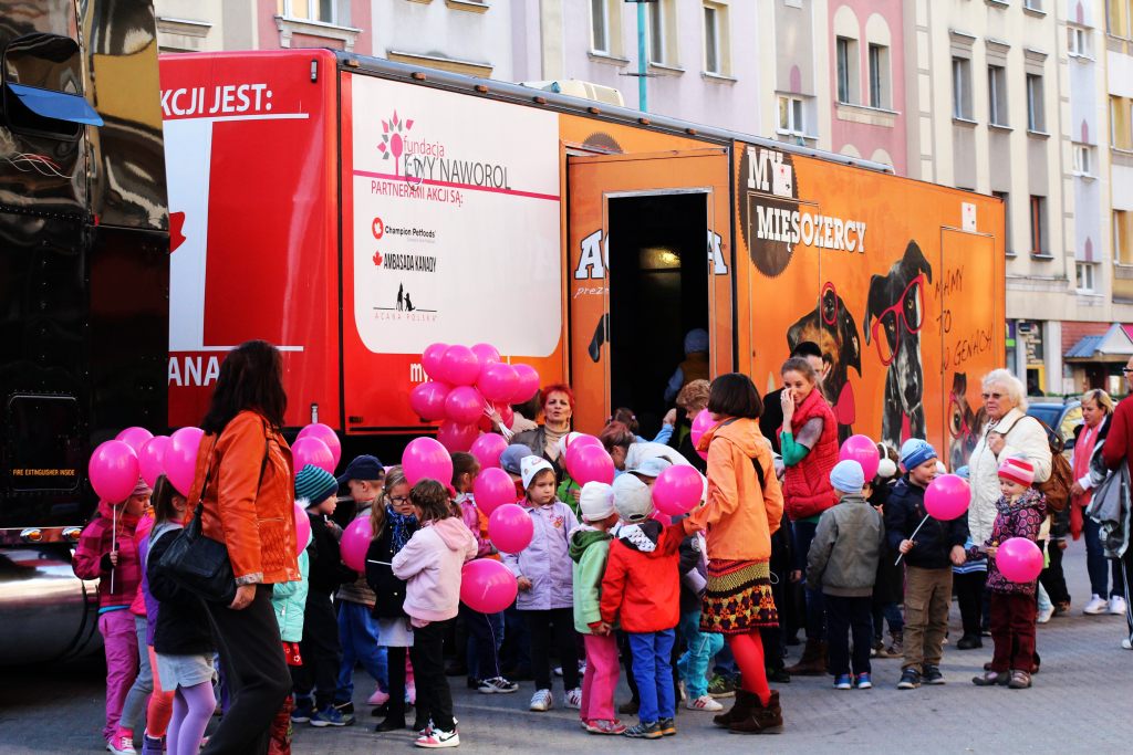 „Odpowiedzialny Opiekun” - akcja poświęcona zwierzętom