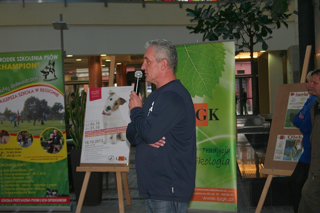 Zaadoptuj psa z Galerią Piastów