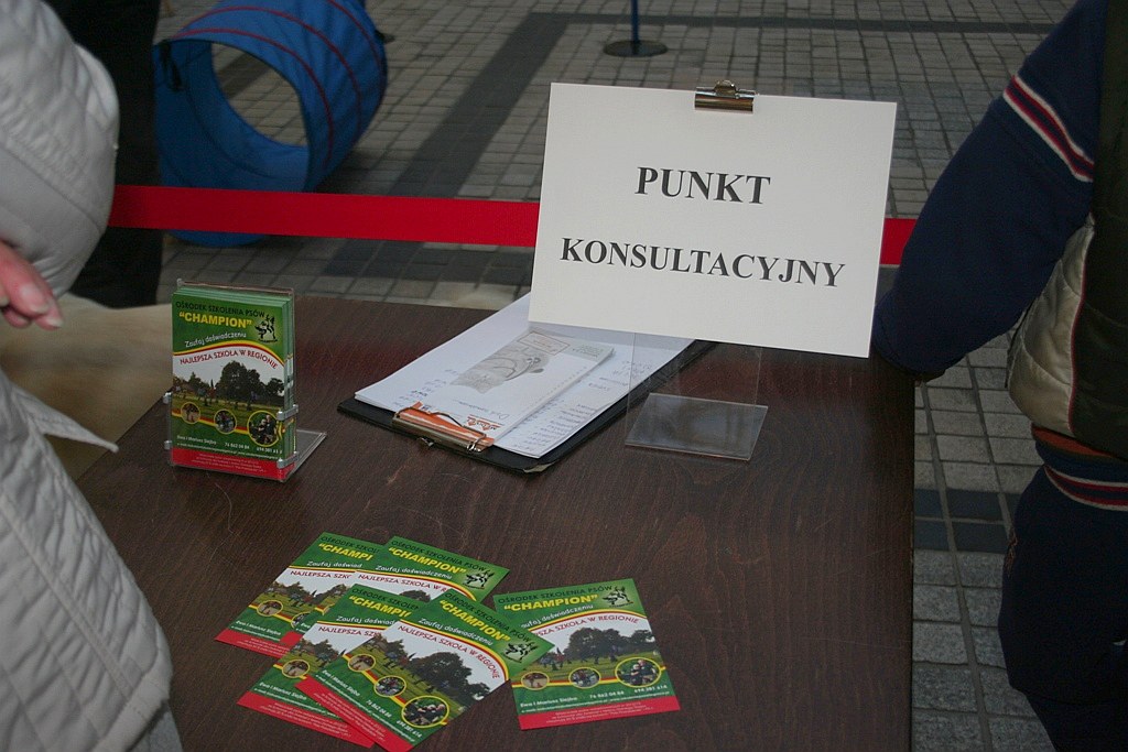 Zaadoptuj psa z Galerią Piastów