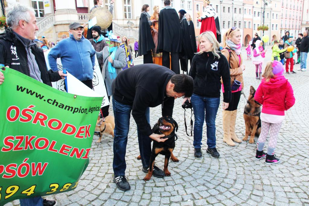 Festiwal Legnickich Organizacji Pozarządowych cz.1