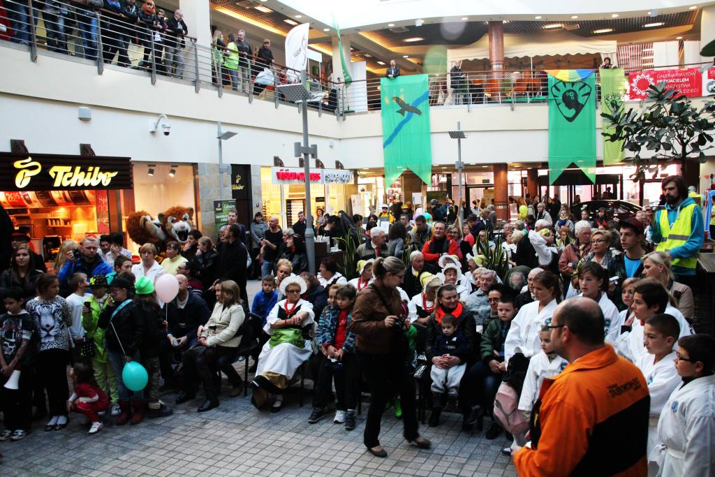 Festiwal Legnickich Organizacji Pozarządowych cz.1