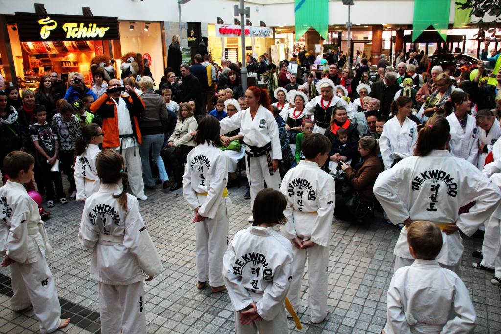Festiwal Legnickich Organizacji Pozarządowych cz.1