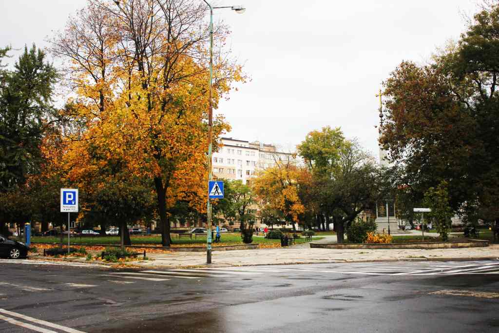 Jesienny przepełniony kolorami październik