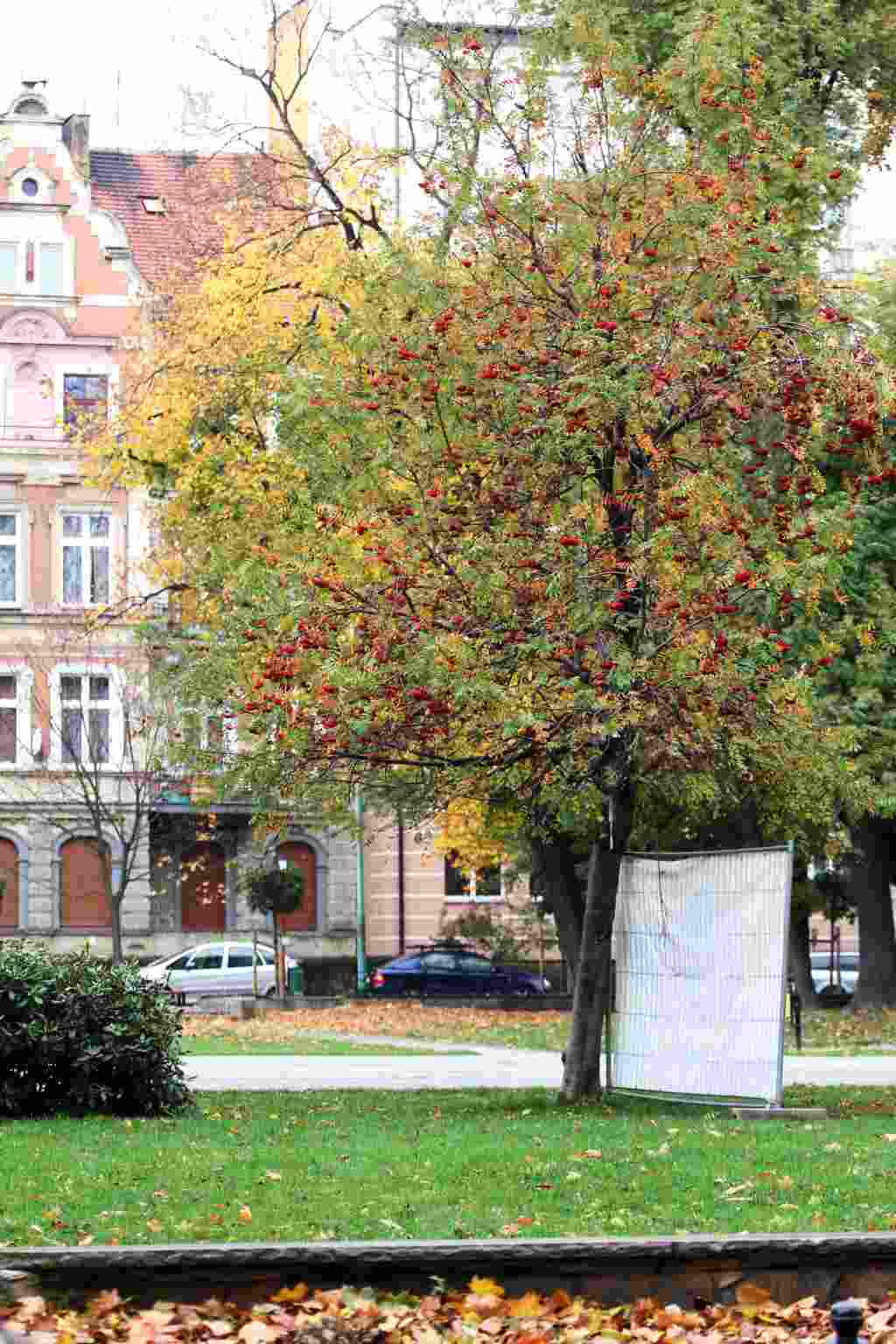 Jesienny przepełniony kolorami październik