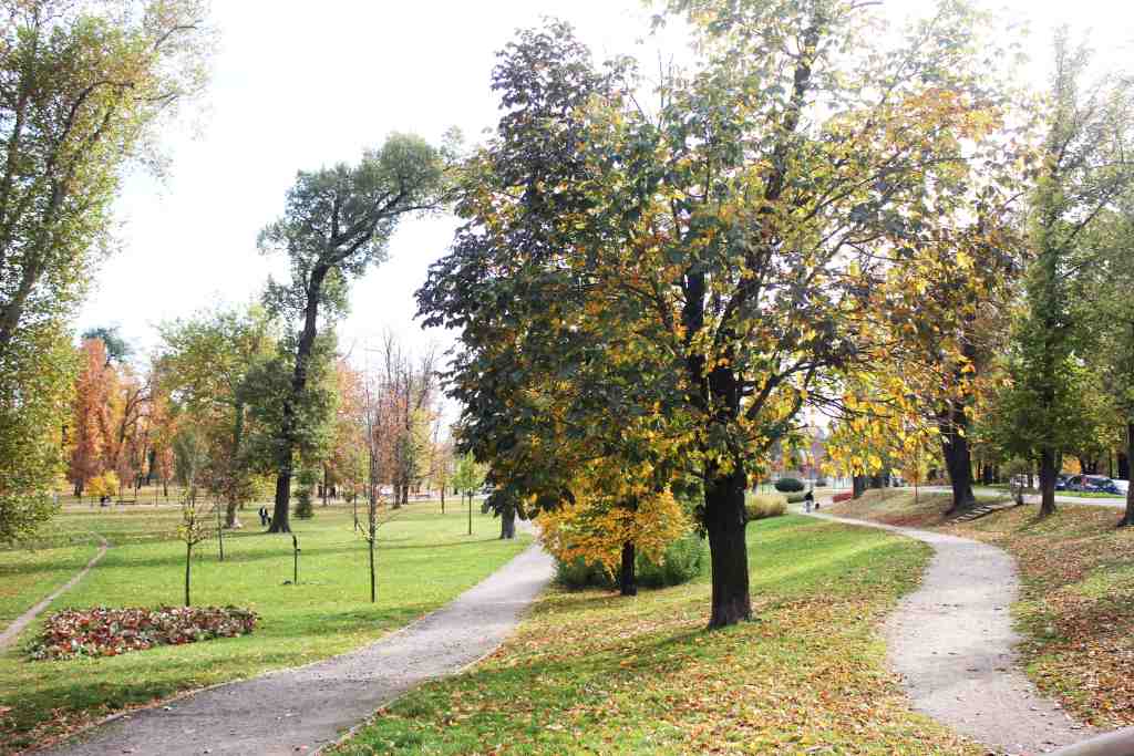 Jesienny przepełniony kolorami październik