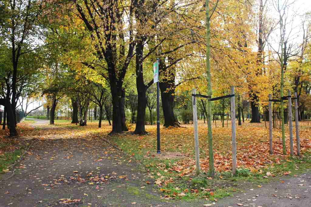 Jesienny przepełniony kolorami październik
