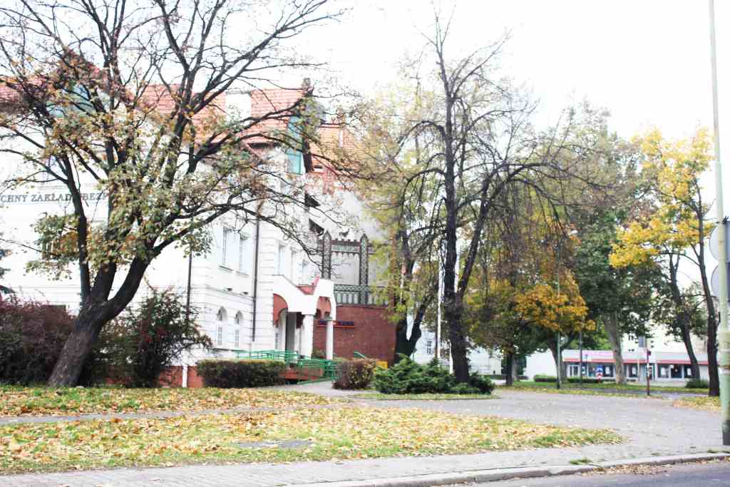 Jesienny przepełniony kolorami październik