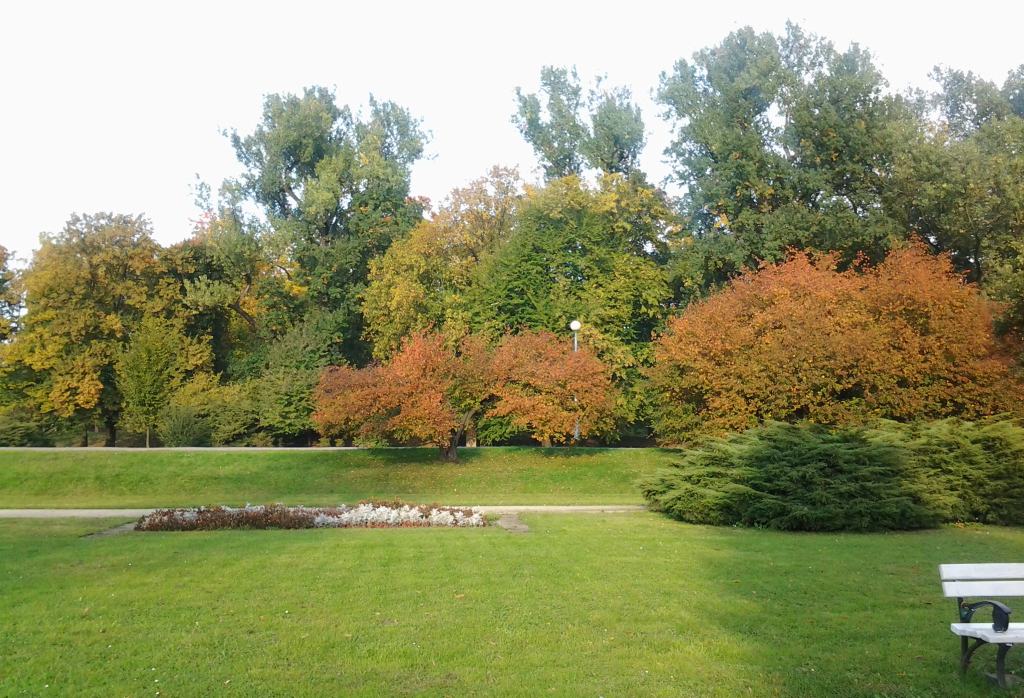 Jesienna Legnica oczami naszych czytelników