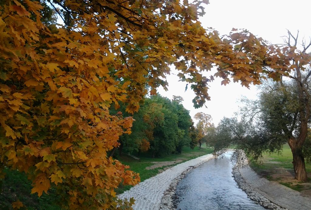 Jesienna Legnica oczami naszych czytelników