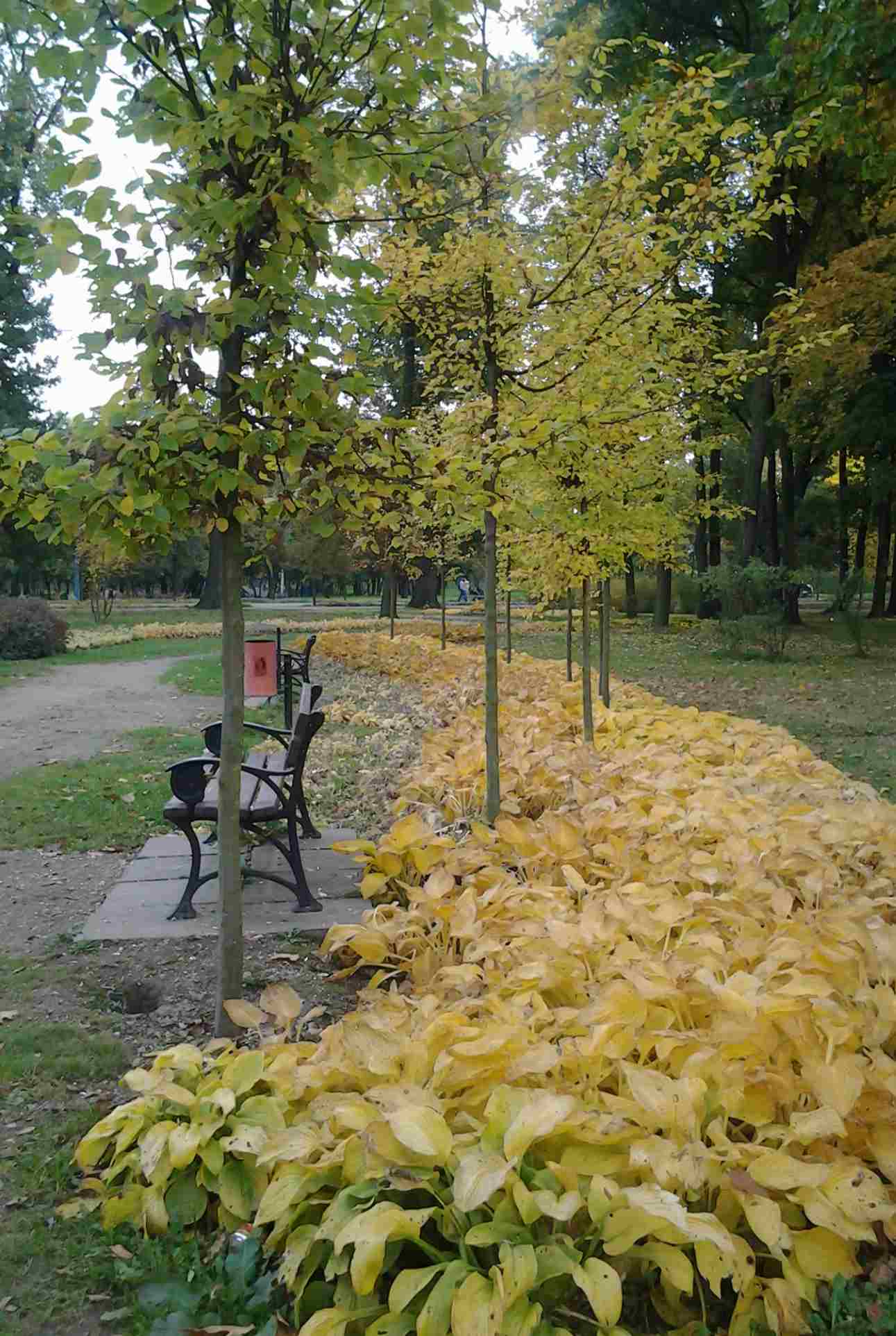 Jesienna Legnica oczami naszych czytelników