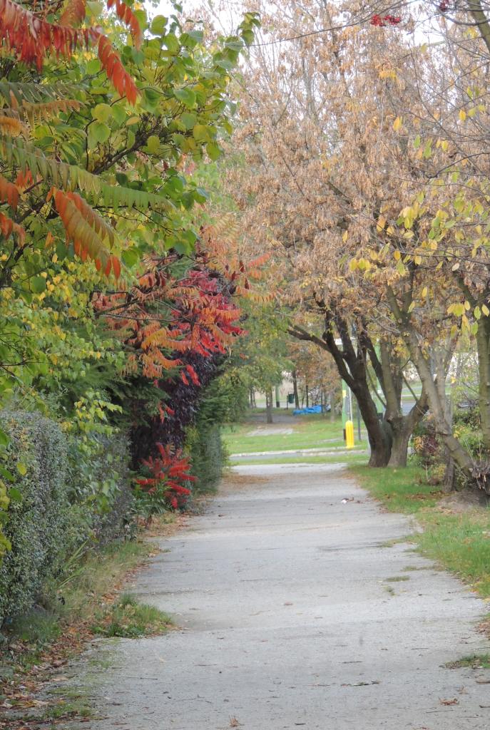 Jesienna Legnica oczami naszych czytelników