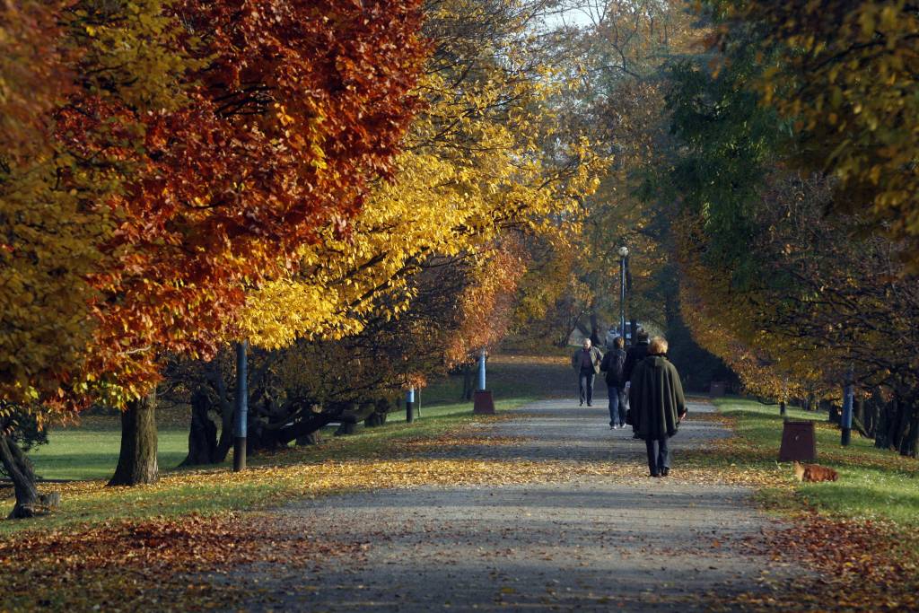 Jesienna Legnica oczami naszych czytelników