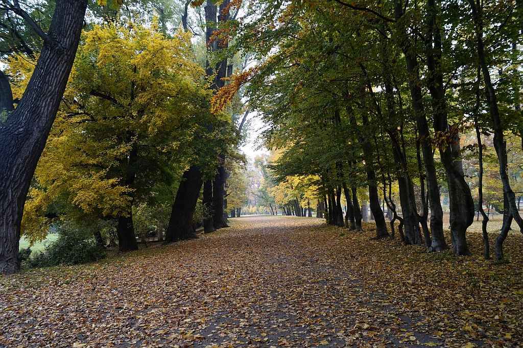 Jesienna Legnica oczami naszych czytelników cz3