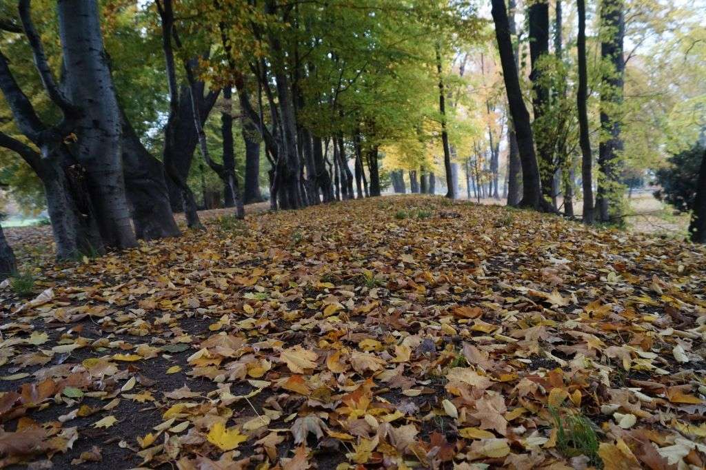 Jesienna Legnica oczami naszych czytelników cz3